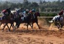 المنافسة تعود إلى مضمار دمشق لسباقات السرعة للخيول العربية الأصيلة بموسمها الجديد